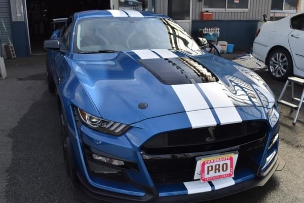 FORD マスタング シェルビーのカーラッピング事例